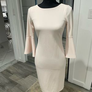 Calvin Klein, size 4P dress.